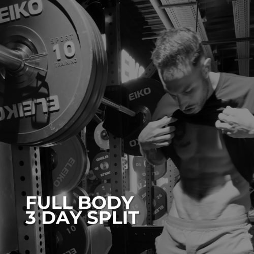 Full body 3 day split