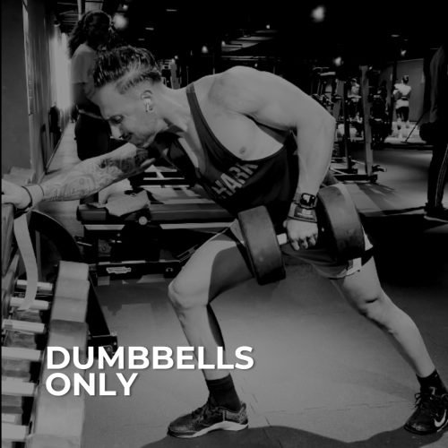 dumbbells only